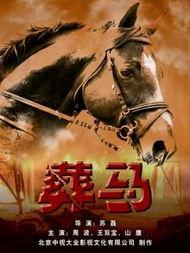 葬马电影国产在线观看,国产佳作在线观看，感受独特东方魅力